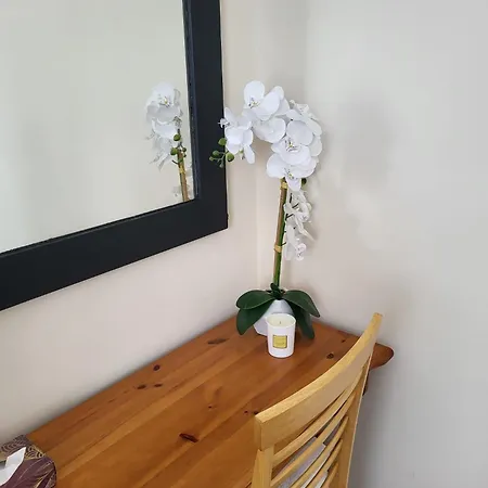 شقة 1 Bed Retreat-sleeps 2-secure Parking-garden